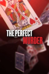 The Perfect Murder