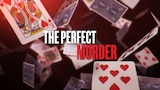 The Perfect Murder