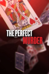 The Perfect Murder