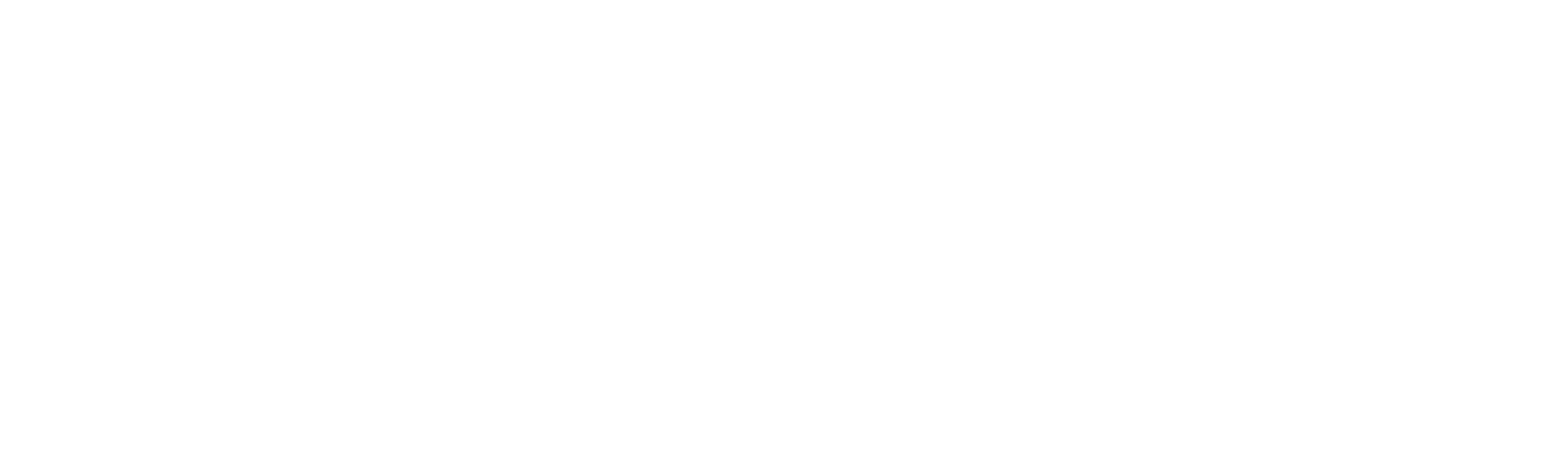 The Perfect Murder