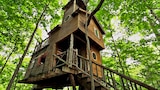 Ultimate Treehouses V