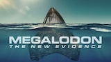 Megalodon: The New Evidence