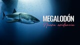 Megalodón: Nueva evidencia