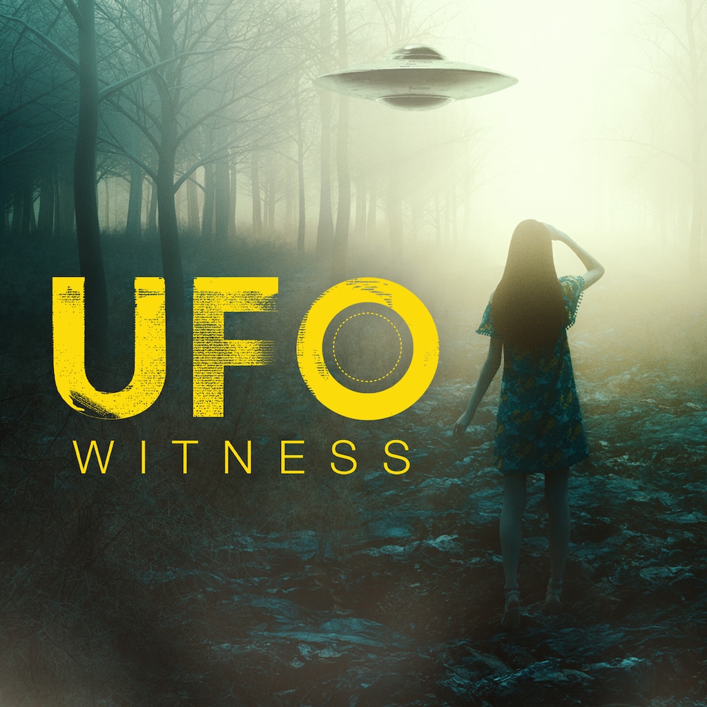 UFO Witness