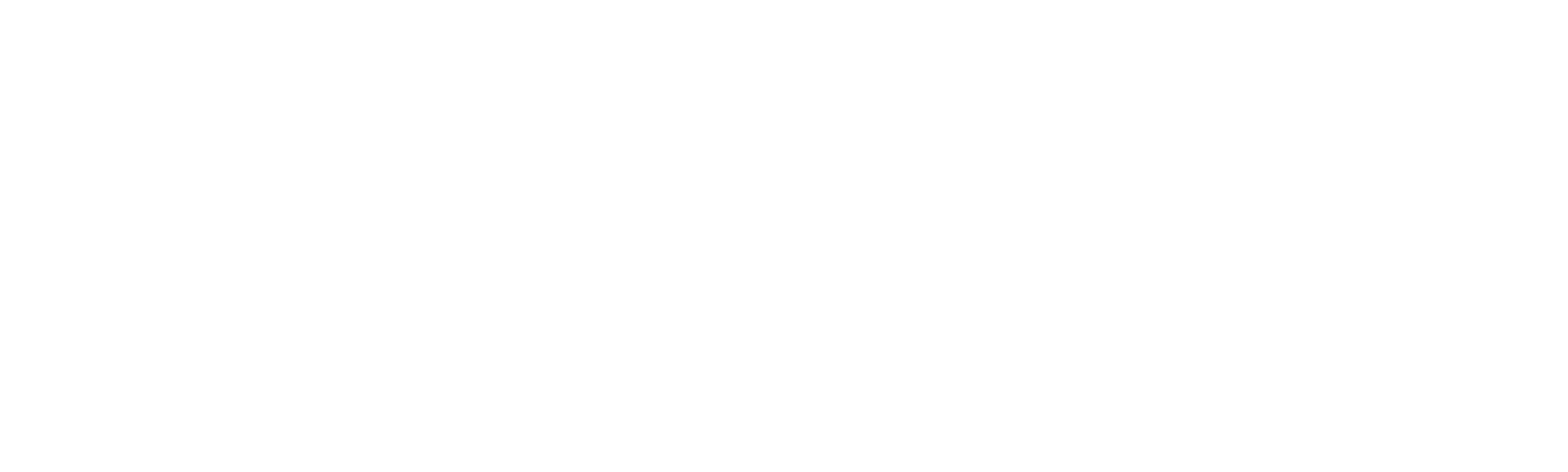 Charlotte Perrelli: Året som förändrade allt