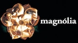 Magnólia