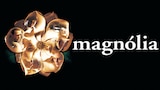 Magnólia