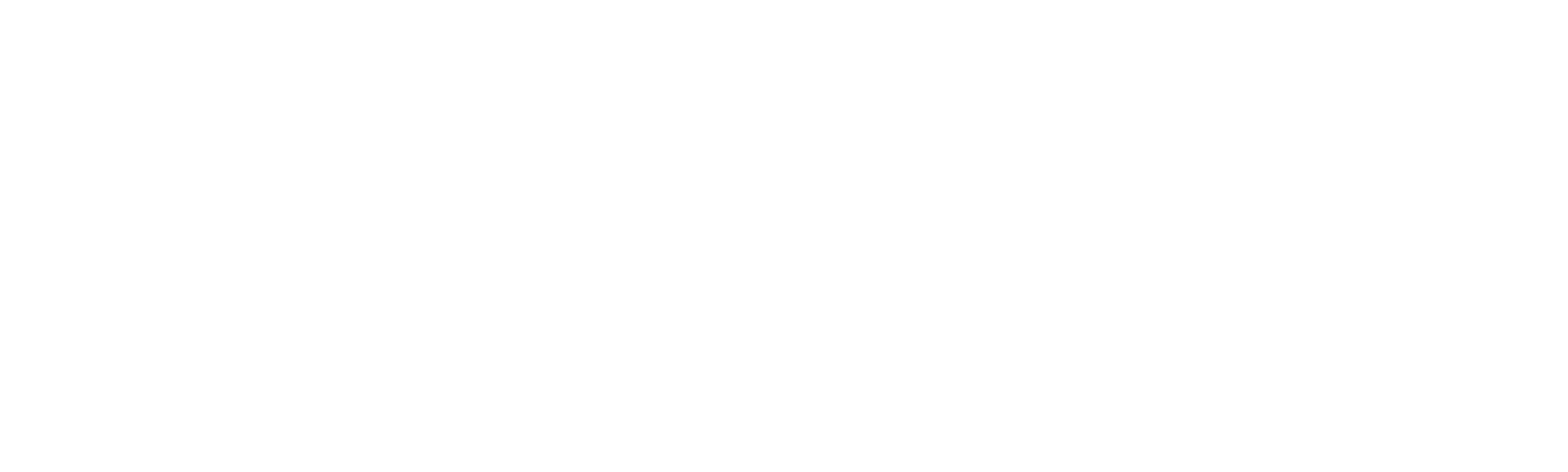 Fitness Diaries (Benelux)