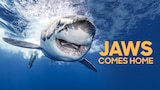 Jaws Comes Home