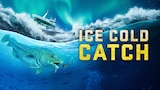Ice Cold Catch
