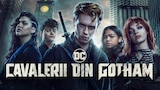 Cavalerii din Gotham