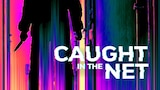 Caught in the Net