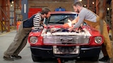 Mustang