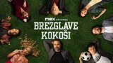 Brezglave kokoši