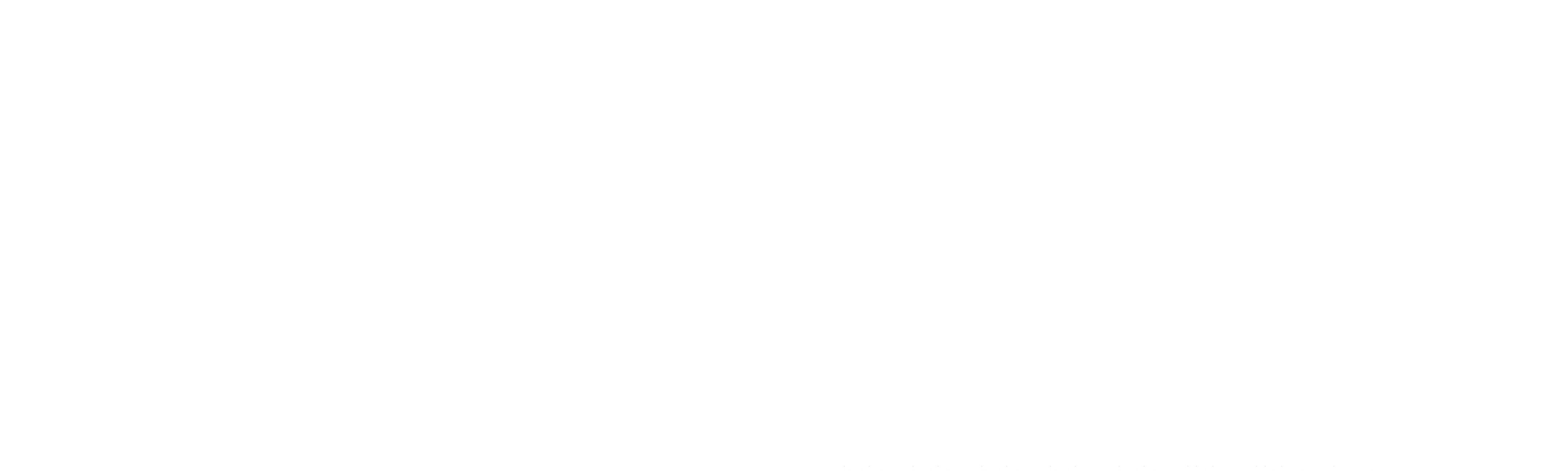 The Princess of Montpensier
