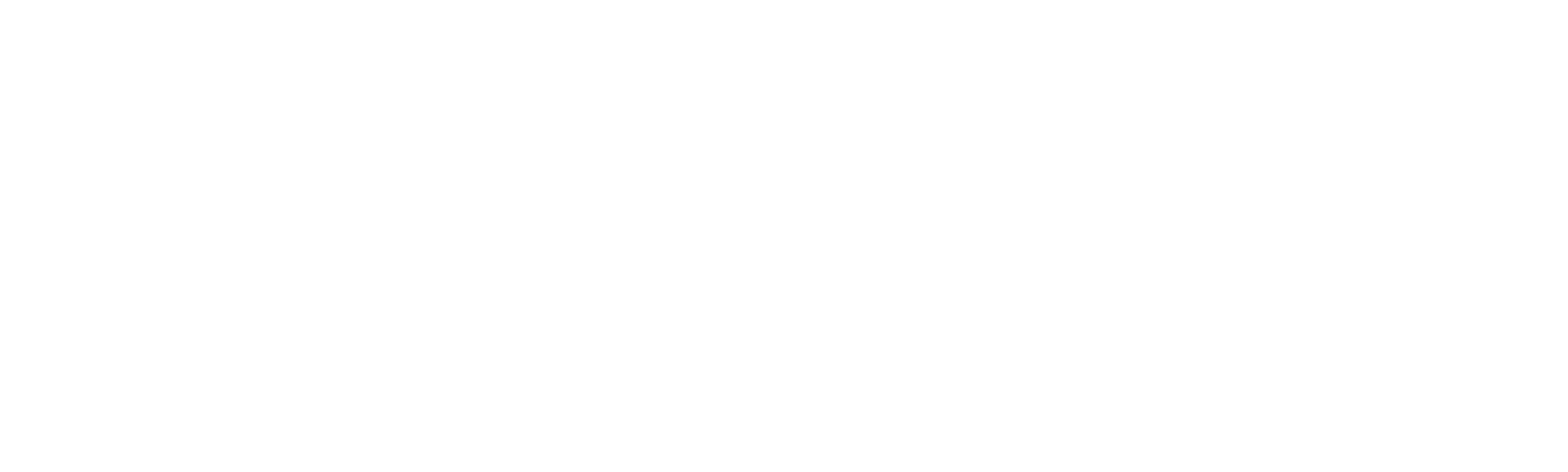 Silent Witness
