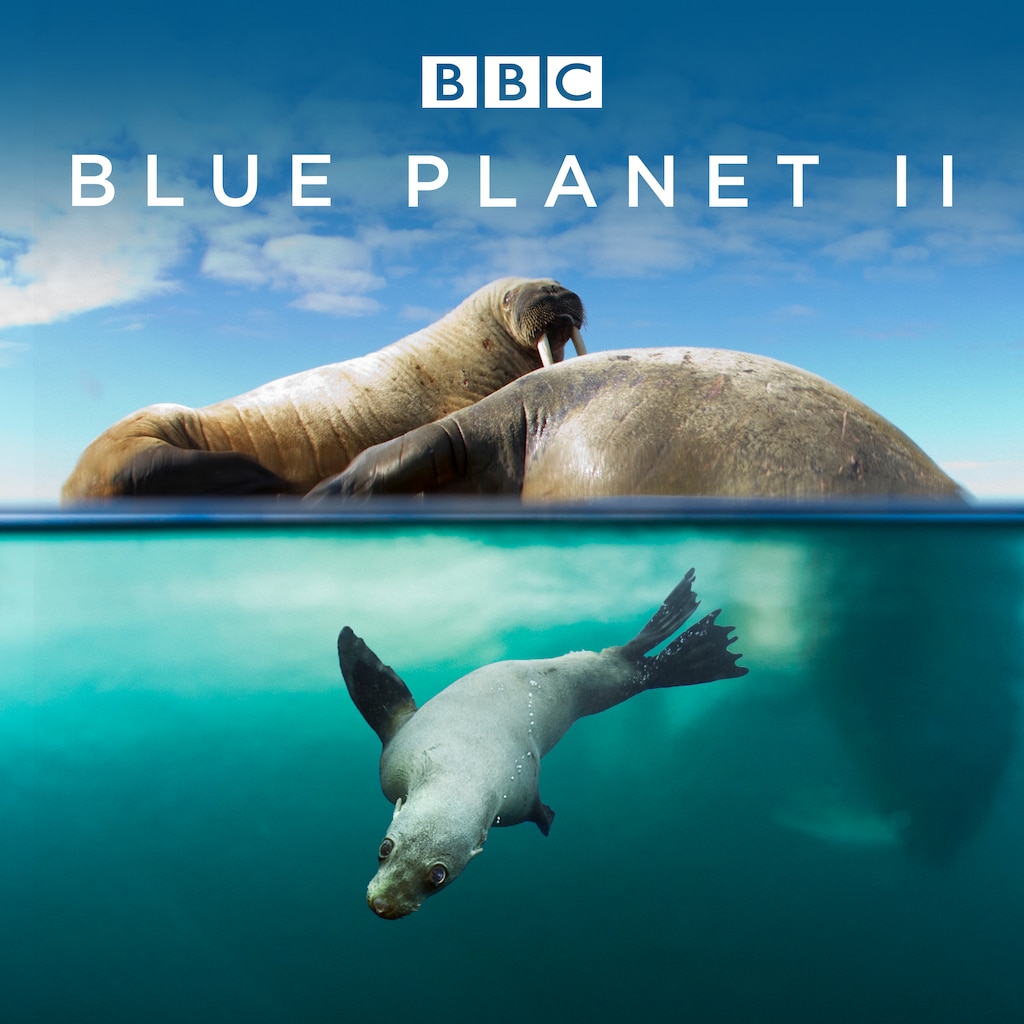 Blue Planet II