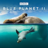 Blue Planet II