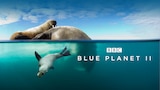 Blue Planet II