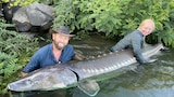 The Lake Chelan Dragon