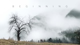 Beginning