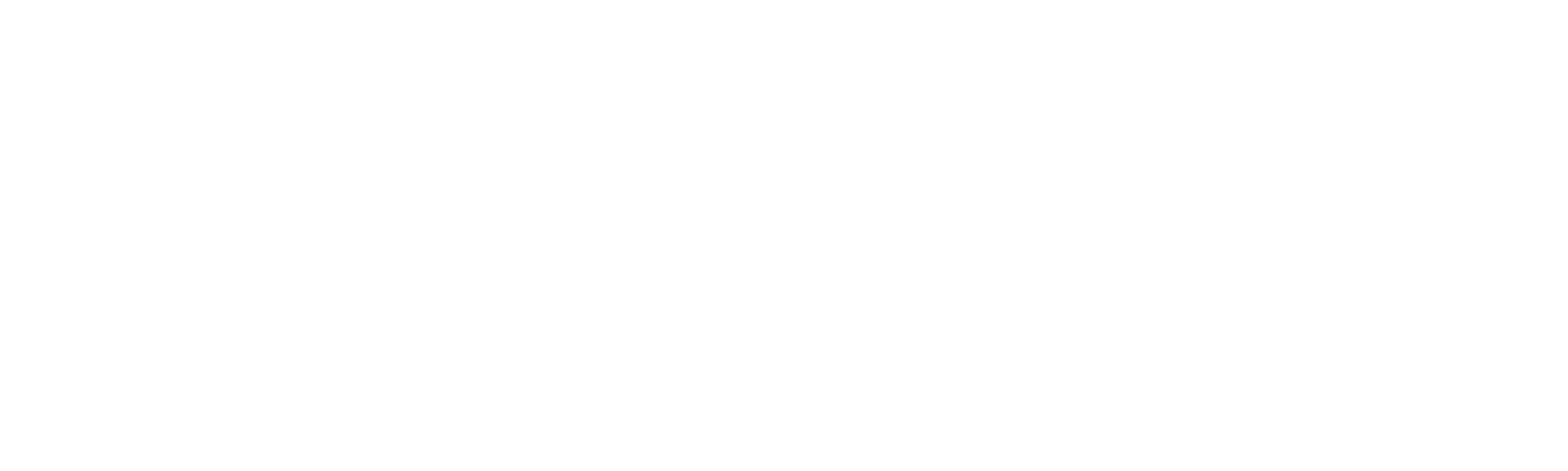 The Man From Rome
