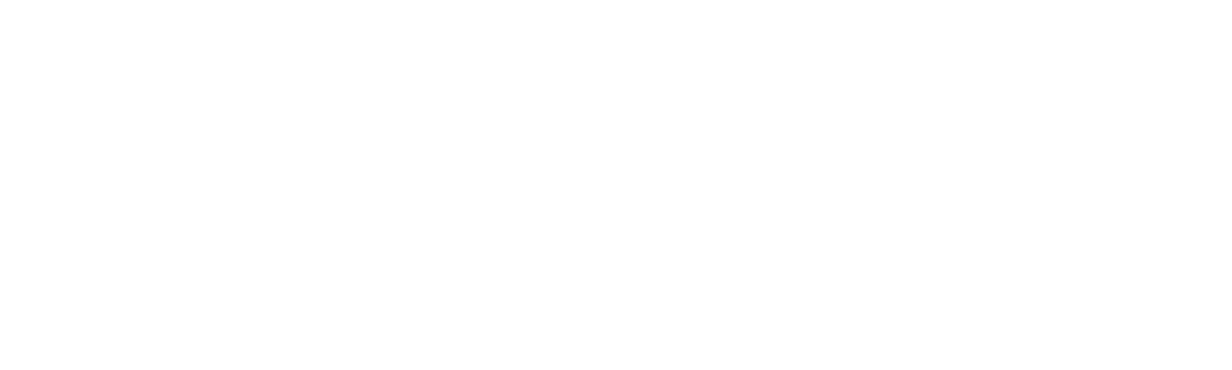 The Night Porter