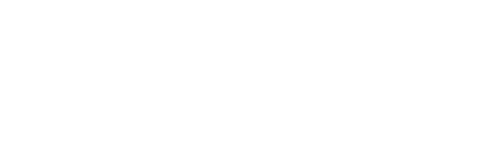Duck Dodgers