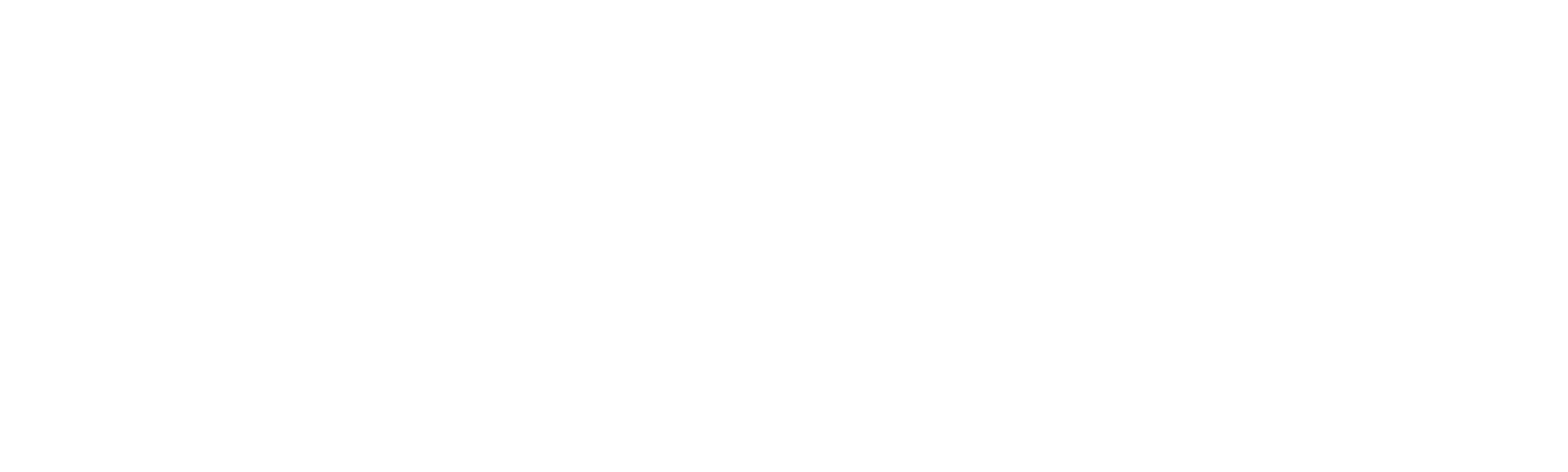 The Only Son