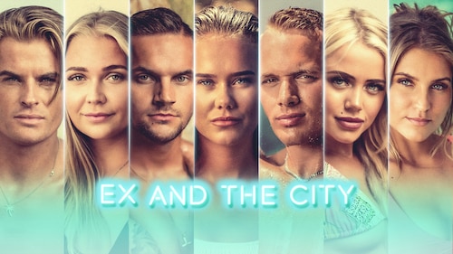 ニキータ ER 緊急救命室 恋するマンハッタン SEX AND THE CITY Sex and the City
