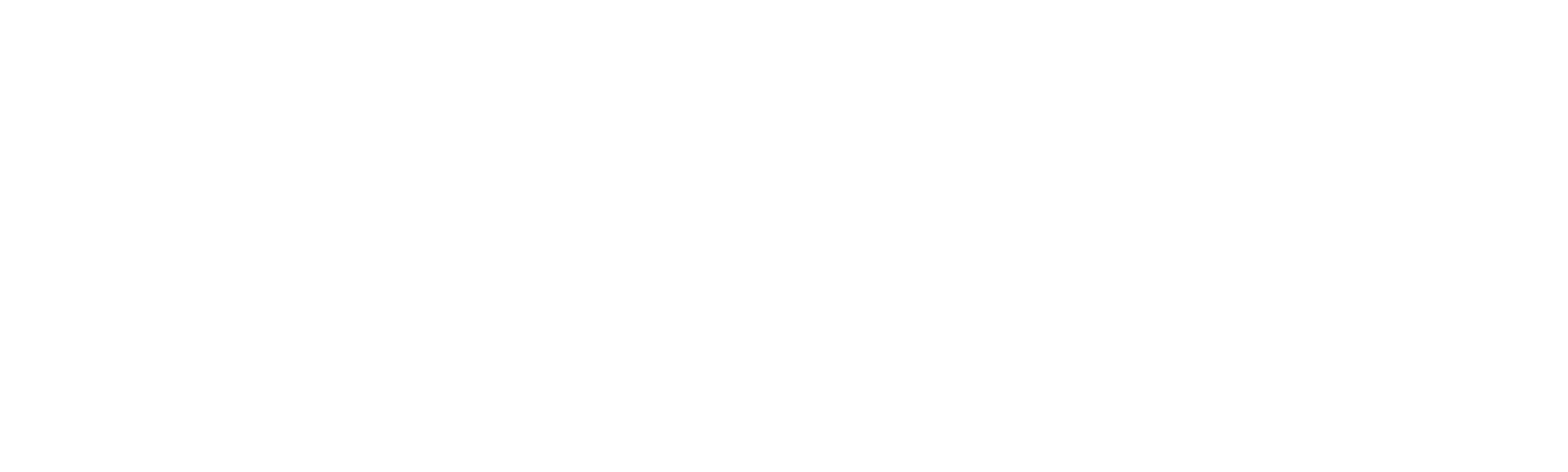 Doki on the High Seas