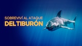 Sobreviví al ataque del tiburón
