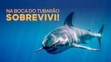 Na Boca do Tubarão: Sobrevivi!