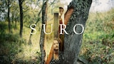 Suro