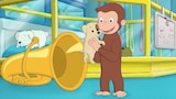 Curious George and the Lost Puppy / Gnocci's Purr-fect Day