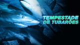 Tempestade de Tubarões