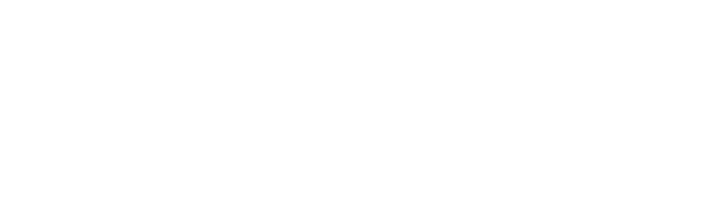 Anatomía de Una Mentira