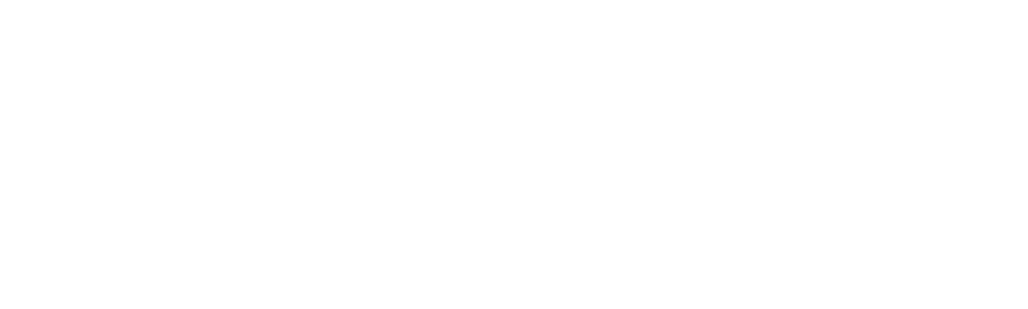 Anatomía de Una Mentira