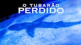 O Tubarão Perdido