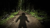 Pennsylvania Shadow Person and More