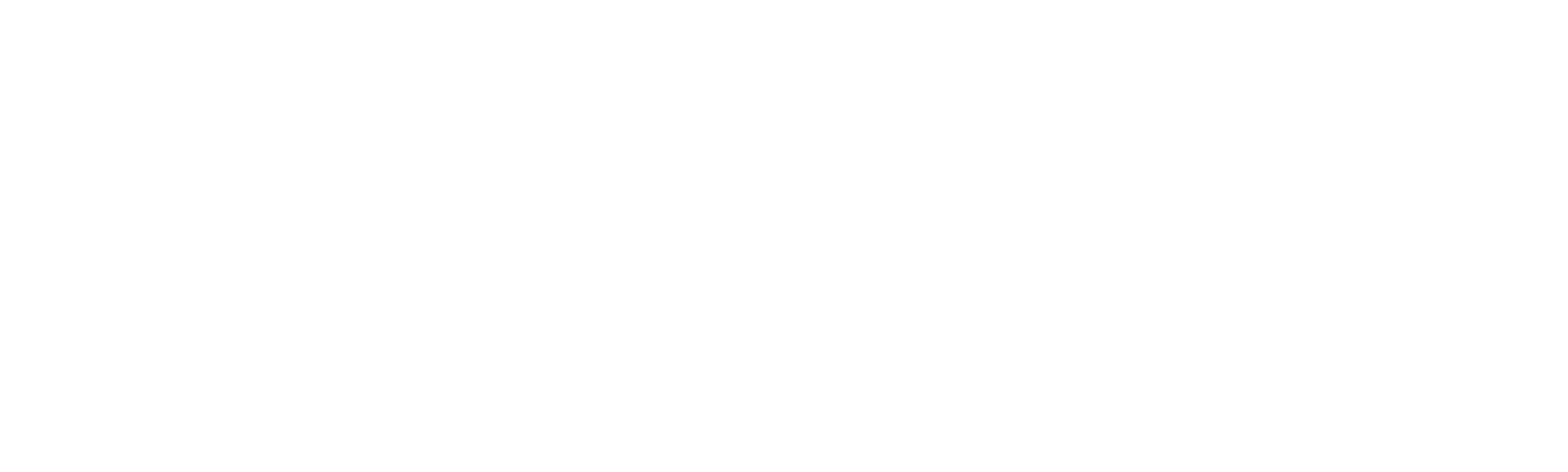 Wedding of a Lifetime