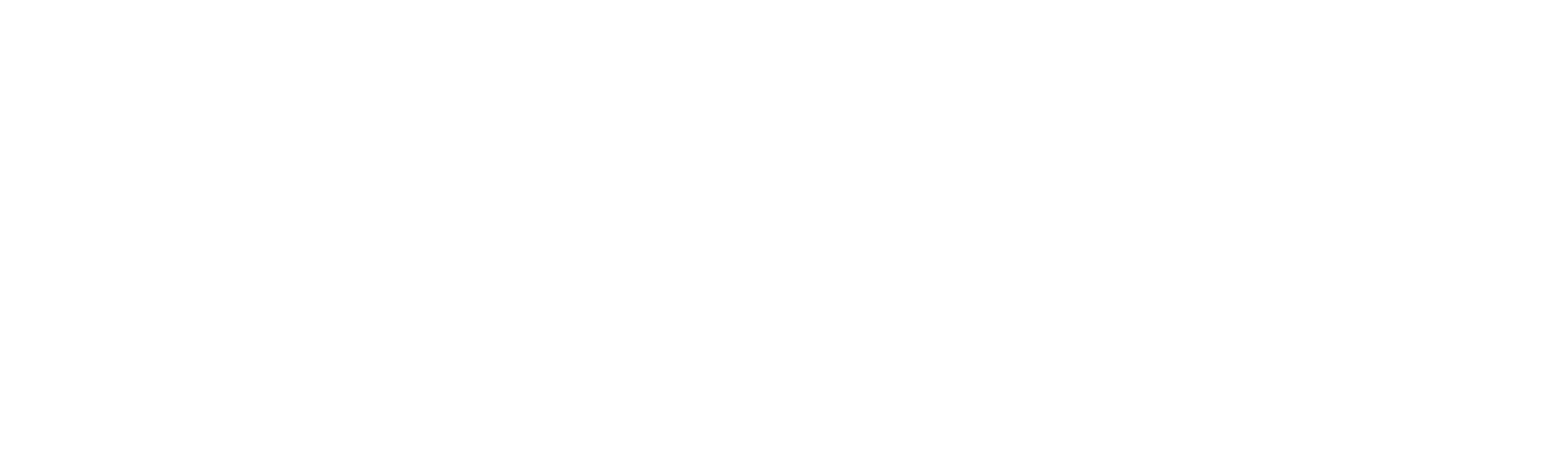 A Holiday Spectacular