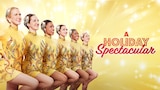 A Holiday Spectacular