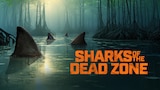 Sharks of the Dead Zone