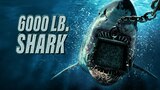 SW24: 6000-LB. Shark
