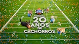 Puppy Bowl presenta: 20 años de cachorros
