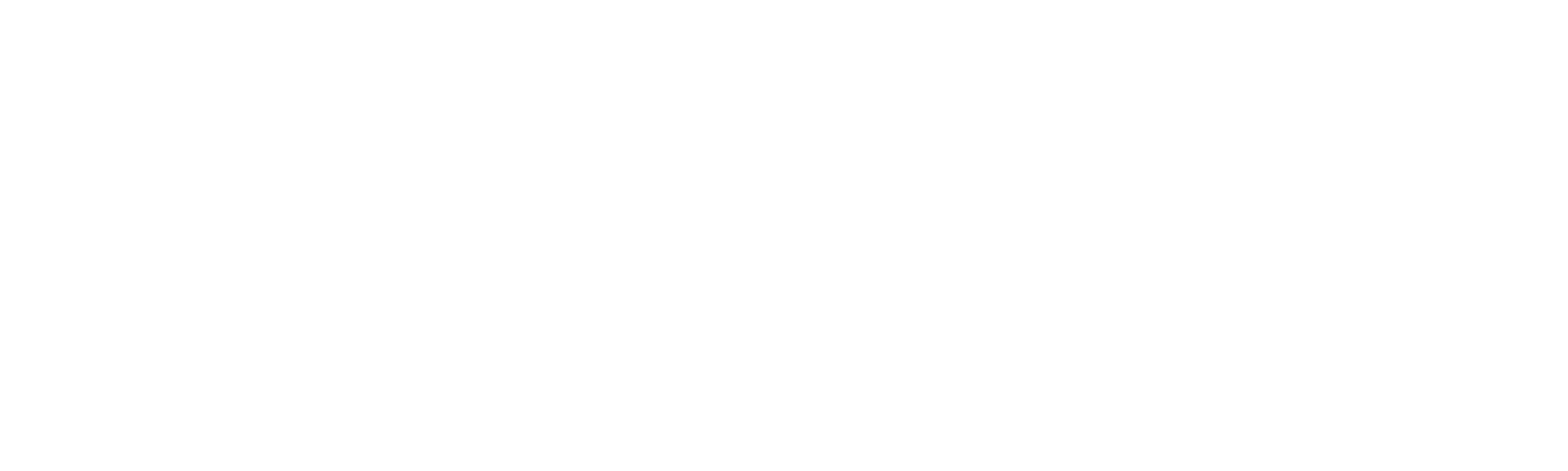 Brief History of a Family
