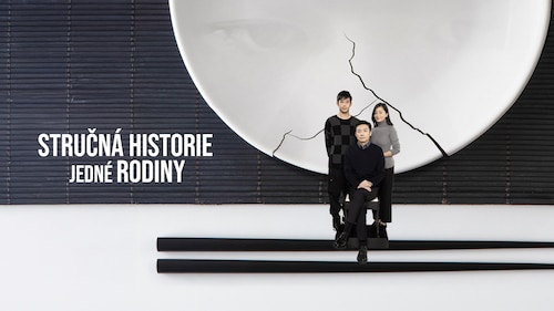 Dívejte se Stručná historie jedné rodiny | HBO Max
