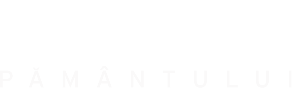 Marginea pământului