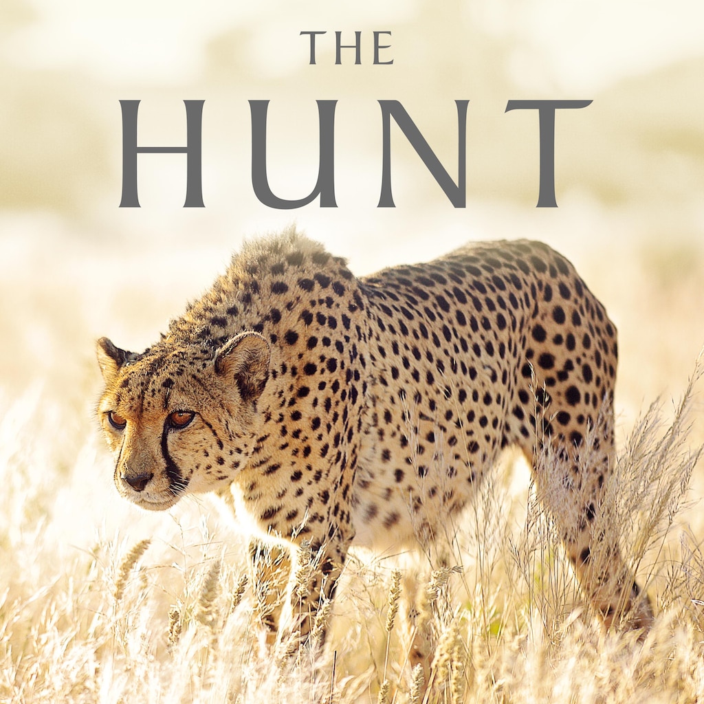 The Hunt